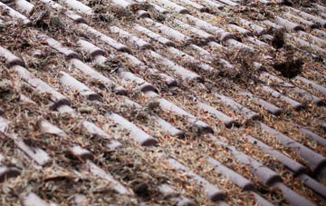 Corkey roof cleaning companies