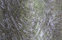 Corkey fibreglass roof work